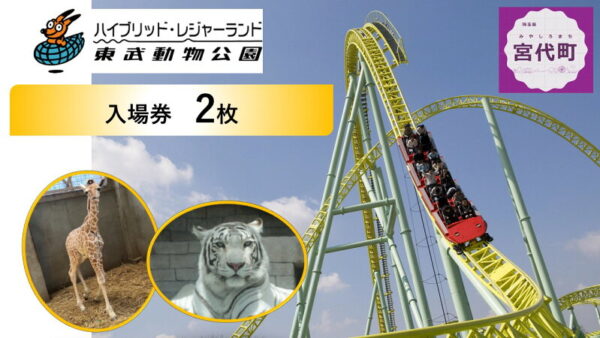 子連れキャンプの始め方【初心者ガイド2026夏】