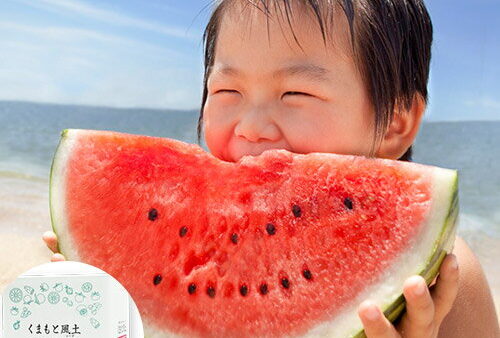 夏キャンプの食材保冷術｜クーラーボックスの正しい使い方【2026年】
