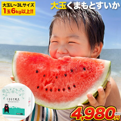 夏キャンプの食材保冷術｜クーラーボックスの正しい使い方【2026年】